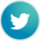 Twitter Icon